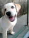 Josip321's Avatar