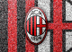 PEPO's Avatar