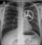 vozd's Avatar