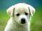 Will.Spencer's Avatar