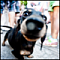 Bzzz's Avatar