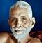 Maharishi's Avatar