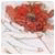 grcthai's Avatar