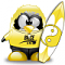 PinGviN44's Avatar