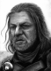 Ned Stark's Avatar
