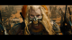 salmajster's Avatar