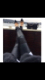 hana03's Avatar