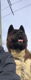 Fahrer_pg's Avatar