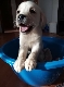 Latvie�u's Avatar