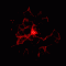 aleksa111111's Avatar