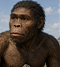 Homo habilis's Avatar